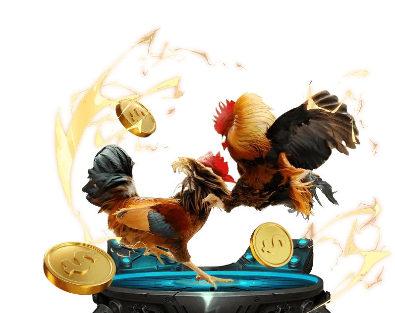 Trò chơi người chia bài trực tiếp